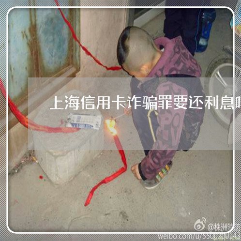 上海信用卡诈骗罪要还利息吗/2023033040493
