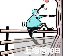 上海信阳812交通事故/2023022751404