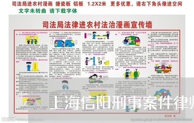 上海信阳刑事案件律师多少钱/2023033067261 上海信阳刑事案件律师多少钱/2023033067261