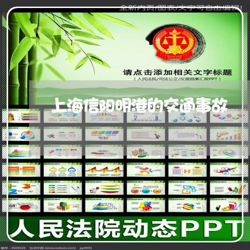 上海信阳明港的交通事故/2023022717379