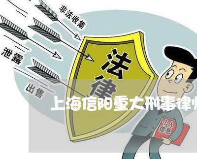 上海信阳重大刑事律师有哪些/2023033016146