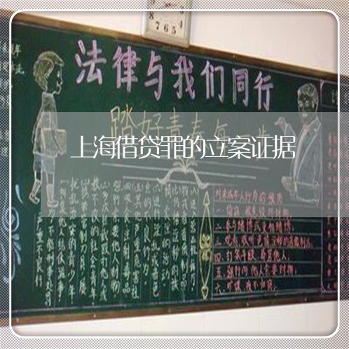 上海借贷罪的立案证据/2023031626958