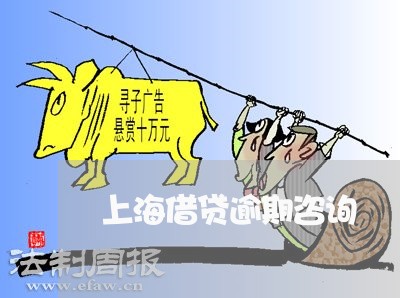 上海借贷逾期咨询/2023020248360 上海借贷逾期咨询/2023020248360