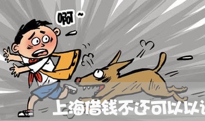 上海借钱不还可以以诈骗罪/2023031626340