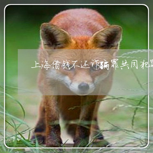 上海借钱不还诈骗罪共同犯罪/2023033013716