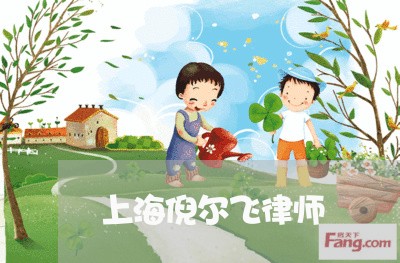 上海倪尔飞律师