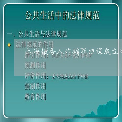 上海债务人诈骗罪担保成立吗/2023032995037