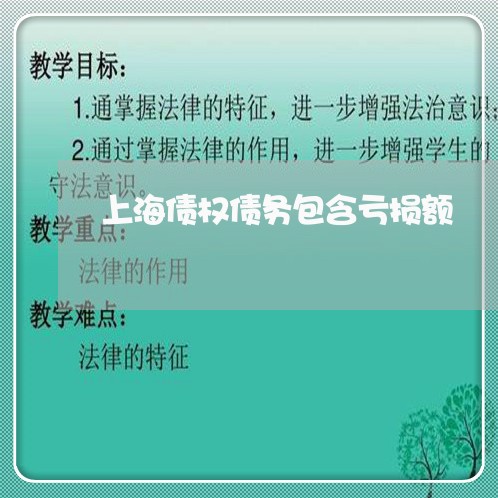 上海债权债务包含亏损额/2023022719351 上海债权债务包含亏损额/2023022719351
