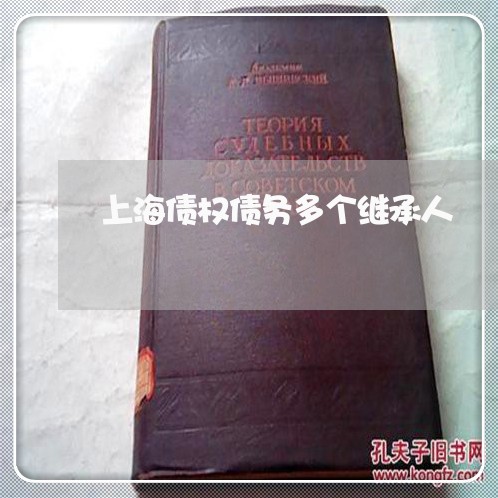 上海债权债务多个继承人/2023022772615 上海债权债务多个继承人/2023022772615