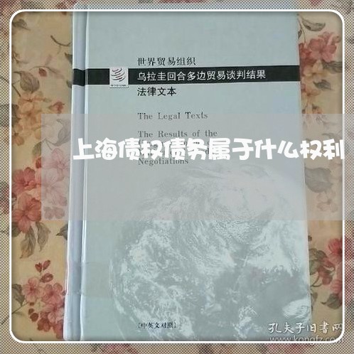 上海债权债务属于什么权利/2023031667350 上海债权债务属于什么权利/2023031667350