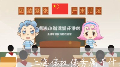 上海债权债务属于什么案子/2023032995037