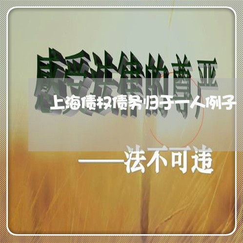 上海债权债务归于一人例子/2023031683148