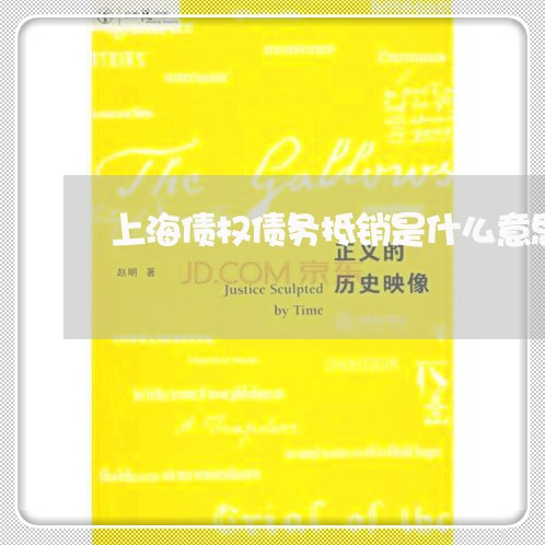 上海债权债务抵销是什么意思/2023032985148
