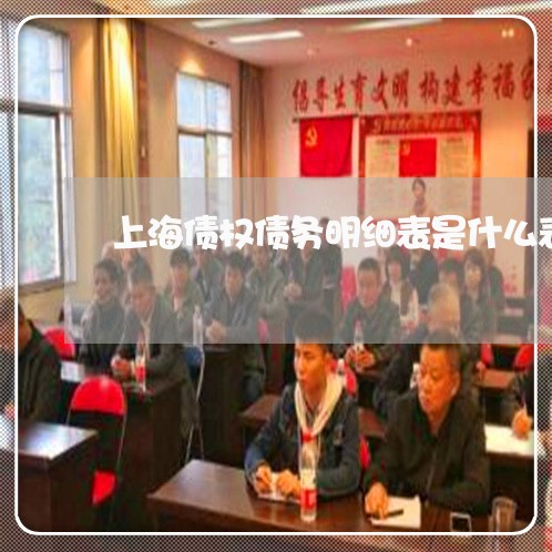 上海债权债务明细表是什么表/2023032963617 上海债权债务明细表是什么表/2023032963617