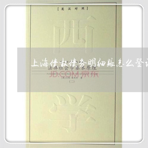 上海债权债务明细账怎么登记/2023032902624 上海债权债务明细账怎么登记/2023032902624