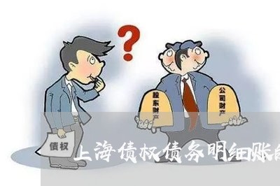 上海债权债务明细账的亮点/2023031616938 上海债权债务明细账的亮点/2023031616938