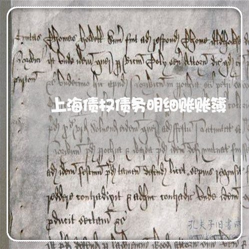 上海债权债务明细账账簿/2023022739281 上海债权债务明细账账簿/2023022739281