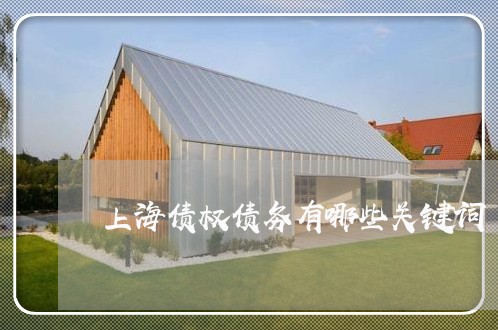 上海债权债务有哪些关键词/2023031682505