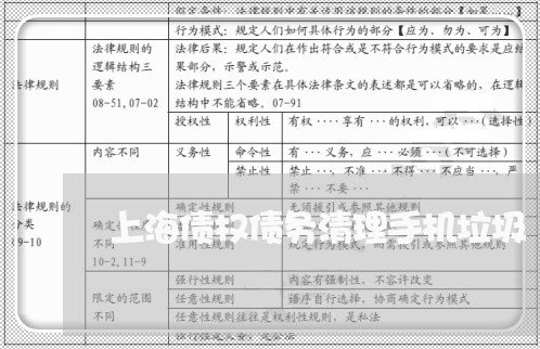 上海债权债务清理手机垃圾/2023031648171 上海债权债务清理手机垃圾/2023031648171