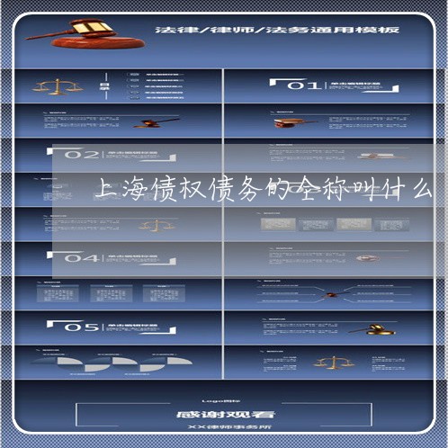 上海债权债务的全称叫什么/2023031671682