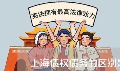 上海债权债务的区别是什么/2023031639159