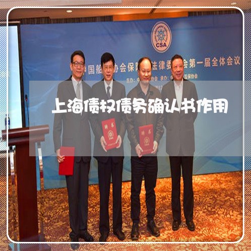 上海债权债务确认书作用/2023022756059 上海债权债务确认书作用/2023022756059