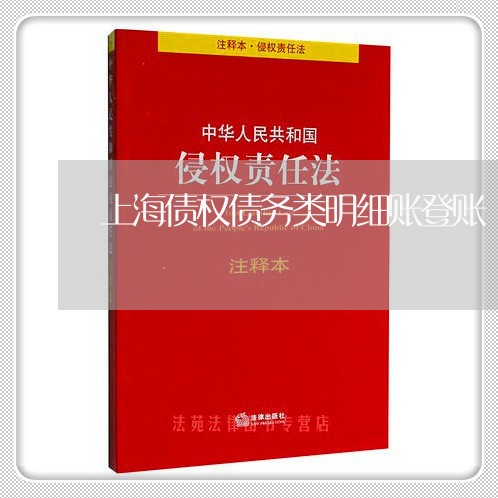 上海债权债务类明细账登账/2023031659460