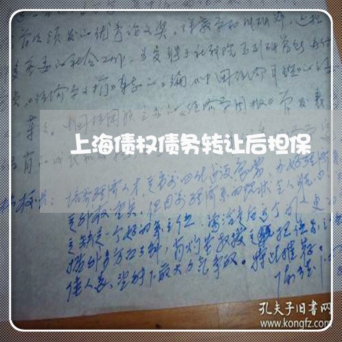 上海债权债务转让后担保/2023022728061 上海债权债务转让后担保/2023022728061
