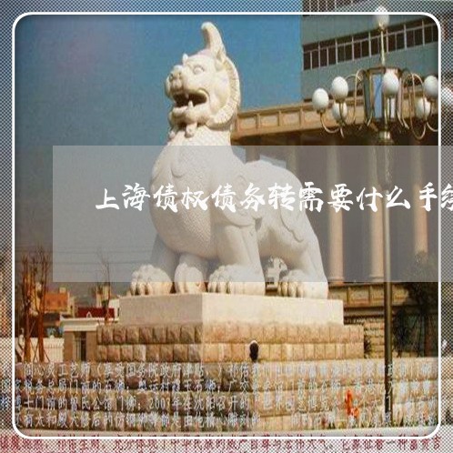 上海债权债务转需要什么手续/2023033039483