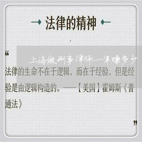 上海做刑事律师一年赚多少/2023032952924