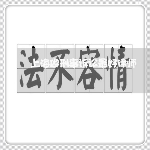 上海做刑事诉讼最好律师/2023022748370