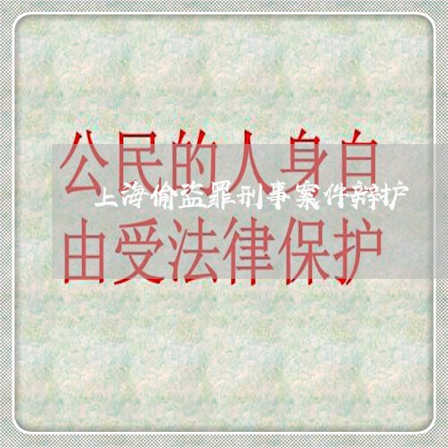 上海偷盗罪刑事案件辩护/2023022714928 上海偷盗罪刑事案件辩护/2023022714928