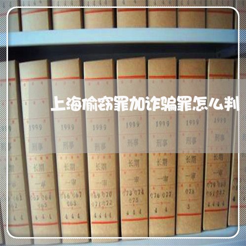 上海偷窃罪加诈骗罪怎么判/2023031683715