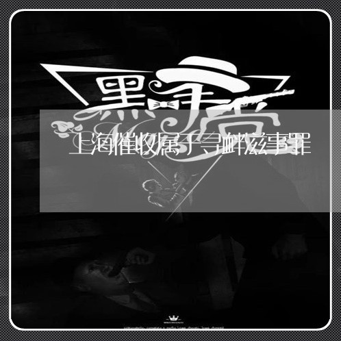 上海催收属于寻衅滋事罪/2023022706157 上海催收属于寻衅滋事罪/2023022706157