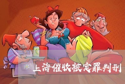 上海催收被定罪判刑/2023022729371