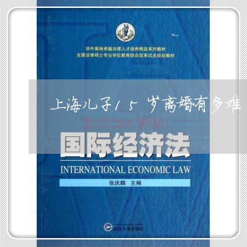 上海儿子15岁离婚有多难/2023031684815