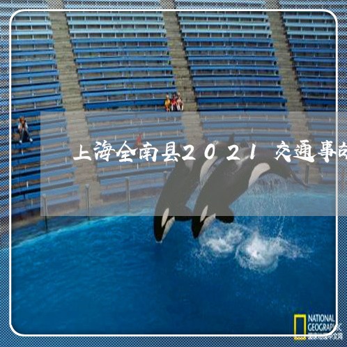 上海全南县2021交通事故/2023032939462 上海全南县2021交通事故/2023032939462