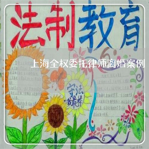 上海全权委托律师离婚案例/2023033007382