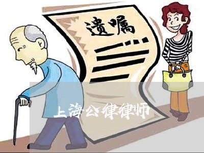 上海公律律师
