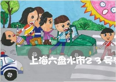 上海六盘水市23号交通事故/2023033065049 上海六盘水市23号交通事故/2023033065049