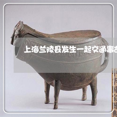 上海兰陵县发生一起交通事故/2023032988159 上海兰陵县发生一起交通事故/2023032988159