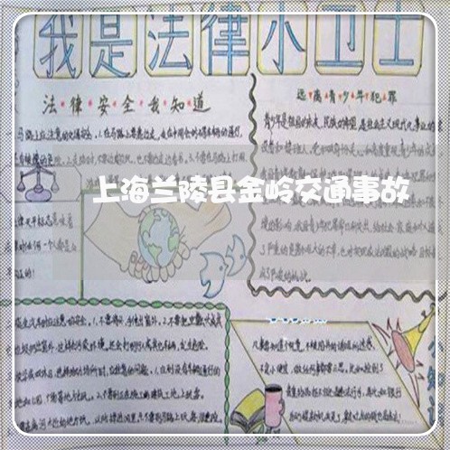 上海兰陵县金岭交通事故/2023022762825 上海兰陵县金岭交通事故/2023022762825