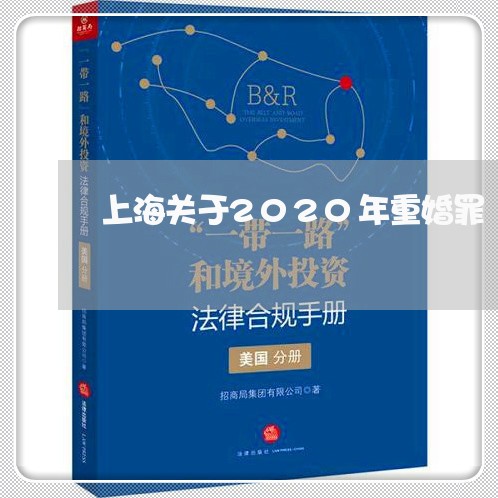 上海关于2020年重婚罪/2023031667171 上海关于2020年重婚罪/2023031667171