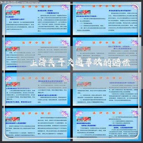 上海关于交通事故的赔偿/2023022762573
