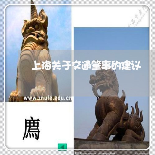 上海关于交通肇事的建议/2023022650693