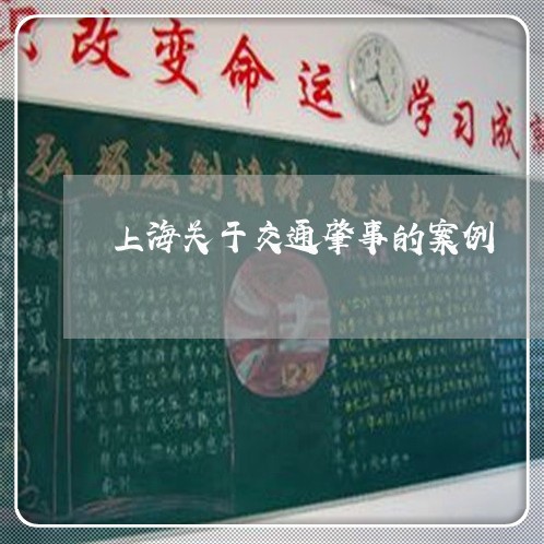 上海关于交通肇事的案例/2023022648393