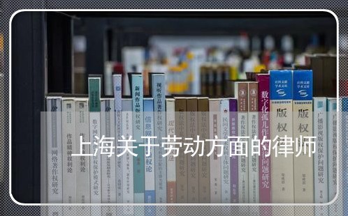 上海关于劳动方面的律师/2023022716060