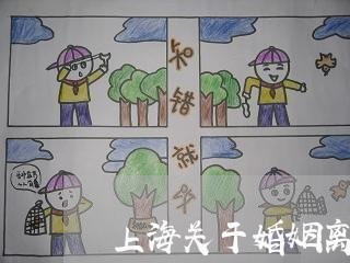 上海关于婚姻离婚的案件/2023022742716