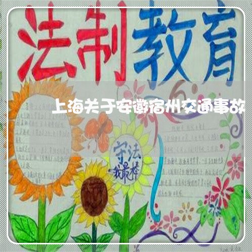 上海关于安徽宿州交通事故/2023031622016 上海关于安徽宿州交通事故/2023031622016