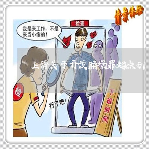 上海关于开设赌场罪起点刑/2023031604937